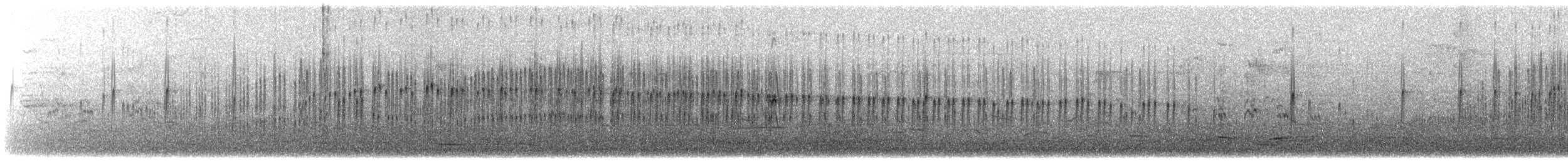 Txirritxo kopetabeltza - ML645252000