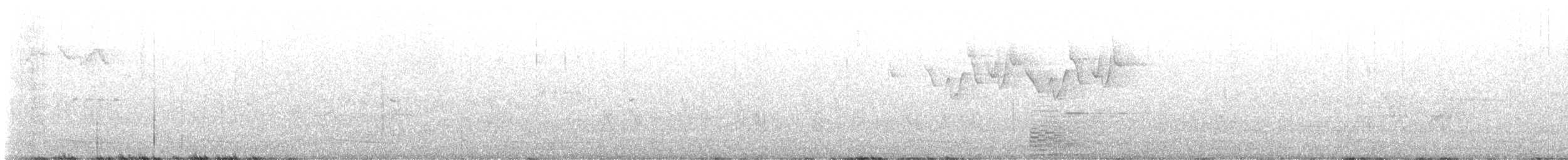 Gray-hooded Warbler - ML645252090