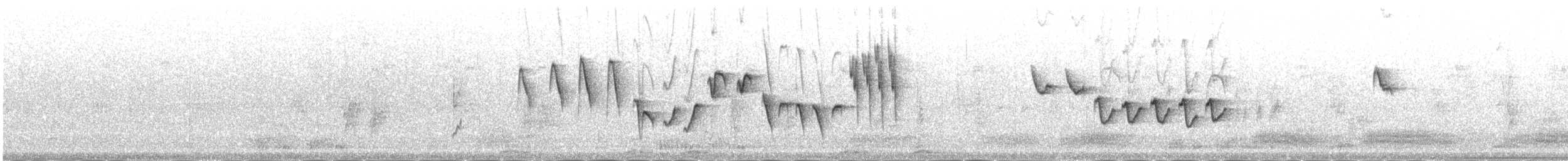 Txio erregetxoa - ML645252183