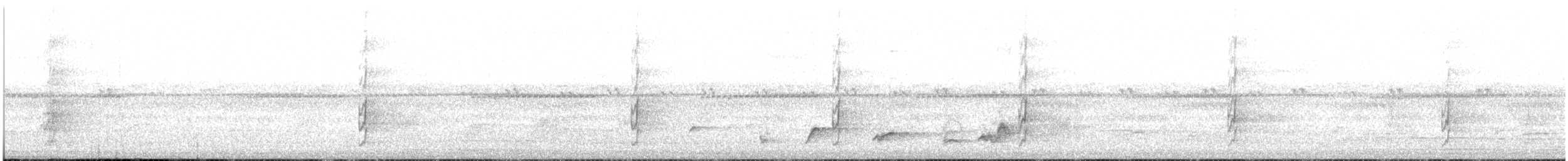 Azor Tachiro - ML645252340