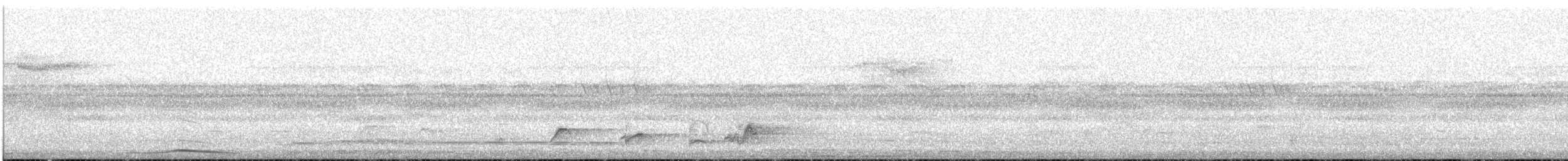 Cárabo Africano - ML645252344