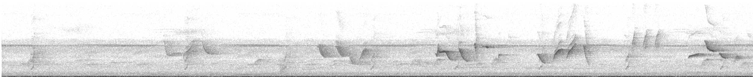 Papamoscas Cenizo - ML645252364