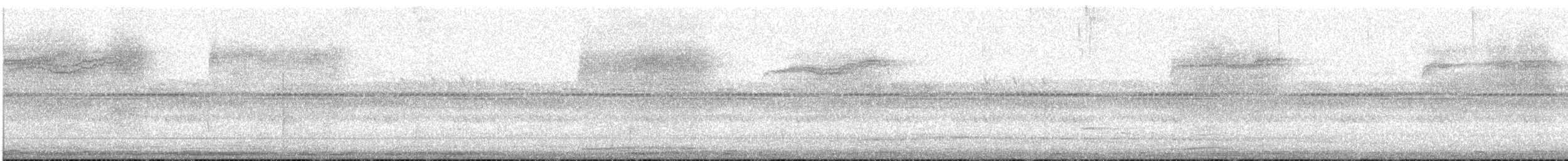 Cárabo Africano - ML645252458