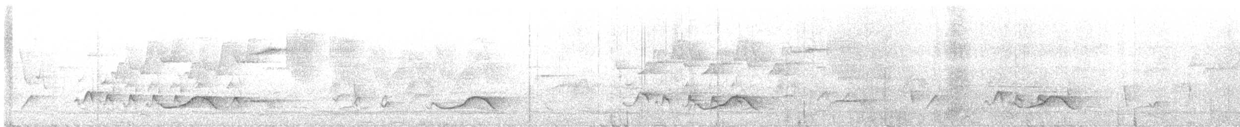 Charlatán Coronicastaño - ML645252485