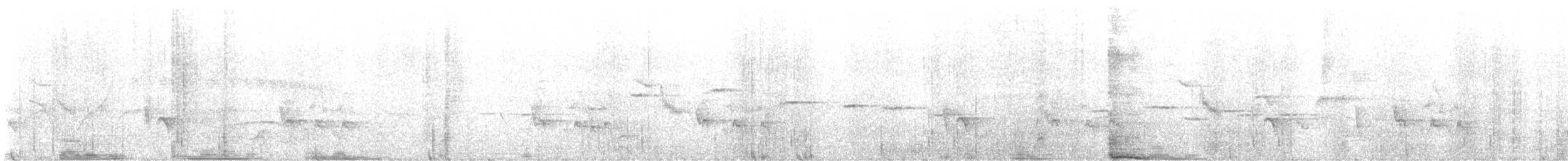 Abanico Gorjiblanco - ML645252562