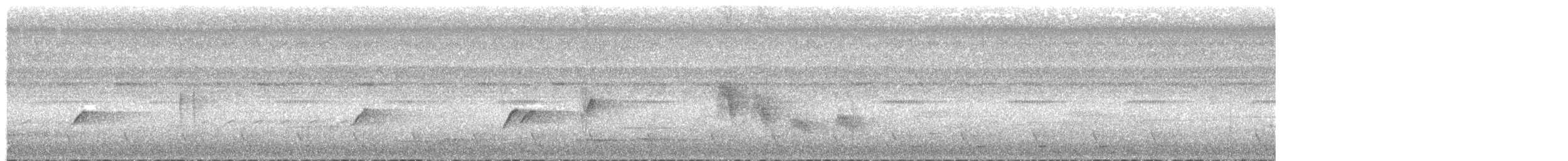 Drongo de Raquetas Grande - ML645253072