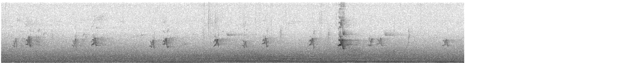 Camachuelo Mexicano (grupo mexicanus) - ML645253105