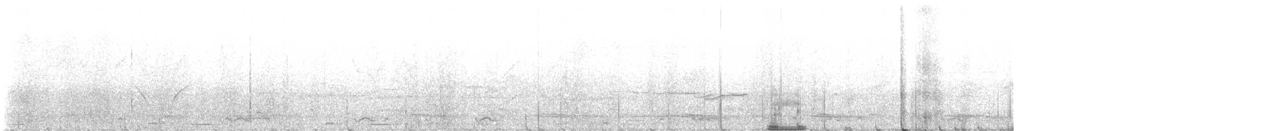 Cuco Común - ML645253108