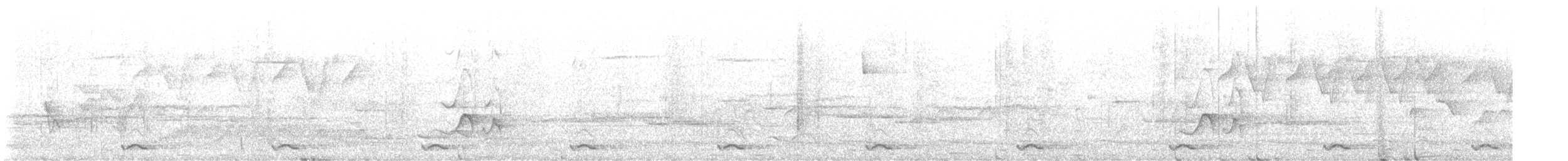 Barbudo Grande - ML645253168