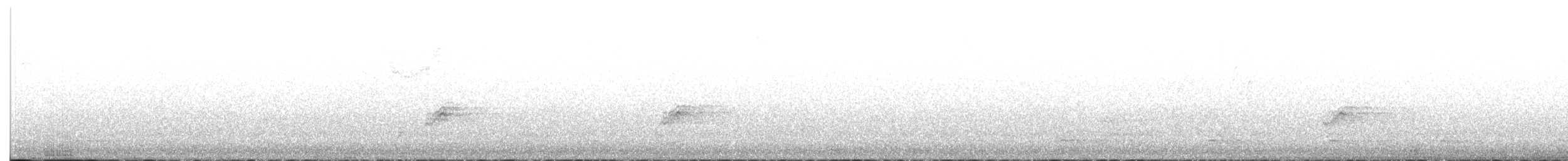 Toquí Flanquirrufo - ML645253171