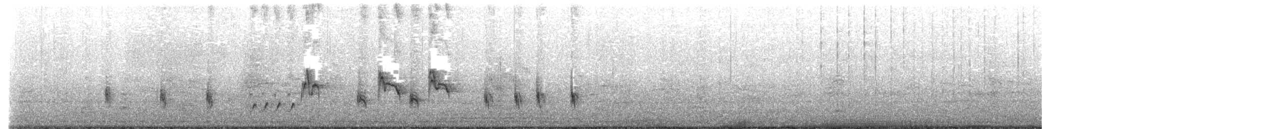 Carricero Australiano - ML645253199