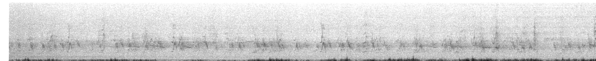 Белобровый артам - ML645253891