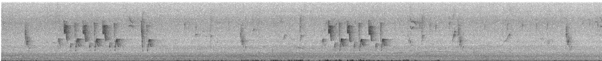 Соловьиная широкохвостка - ML645254338