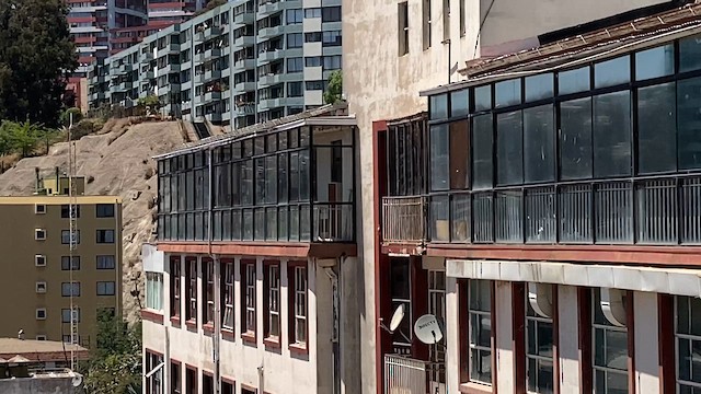 American Kestrel - ML645254355