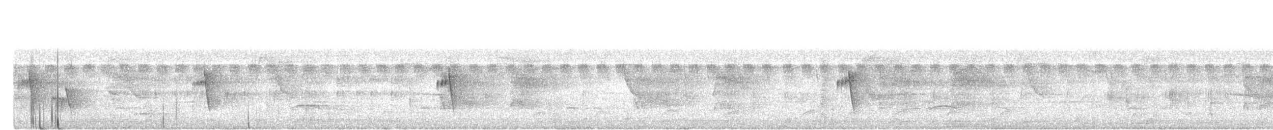 Ashy Tailorbird - ML645254385