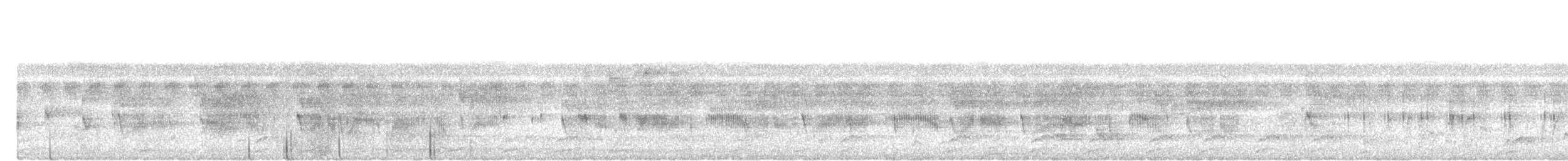 White-crowned Shama - ML645254531