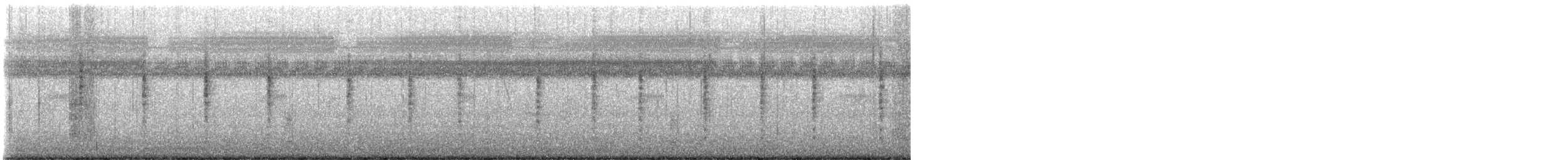 マキノセンニュウ - ML645255564