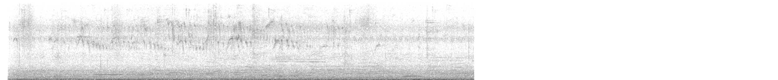 Little Swift - ML645256467