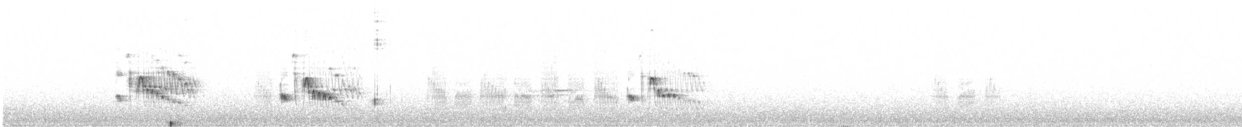 Garrulaxe barré - ML645256732