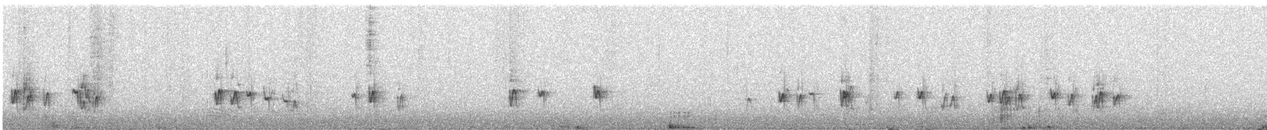 Plain Mountain Finch - ML645257210