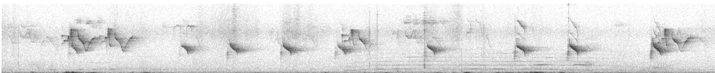 White-tailed Nuthatch - ML645257449