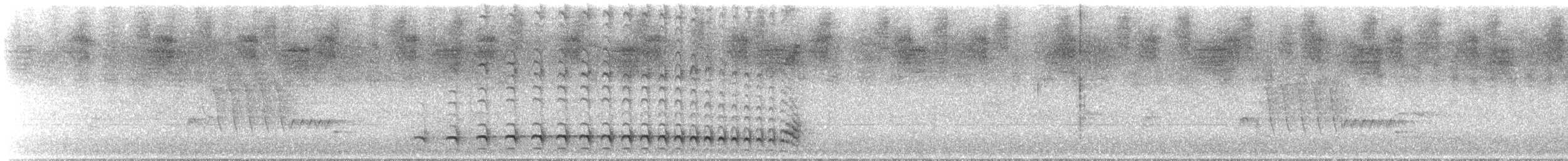 Chestnut-backed Antshrike - ML645257523