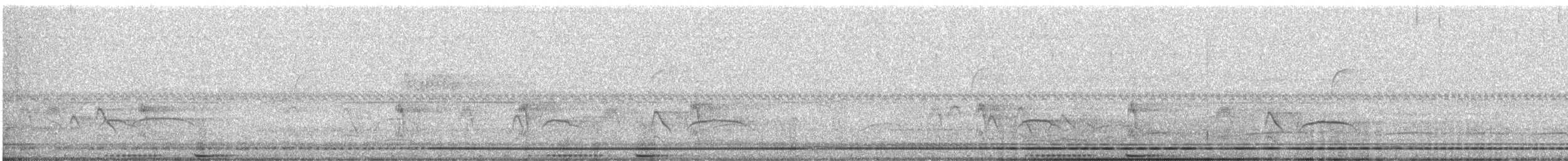 Nacunda Nighthawk - ML645257530