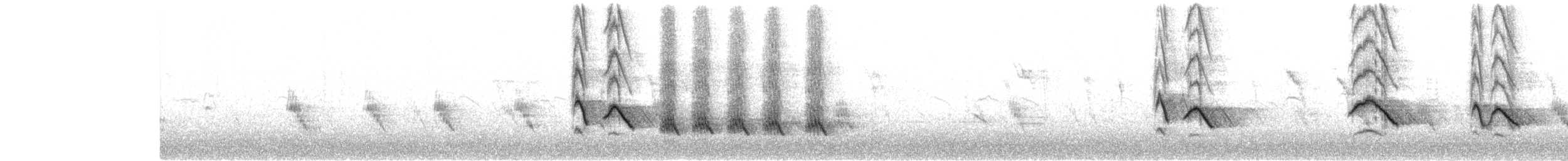 Black Drongo - ML645258014