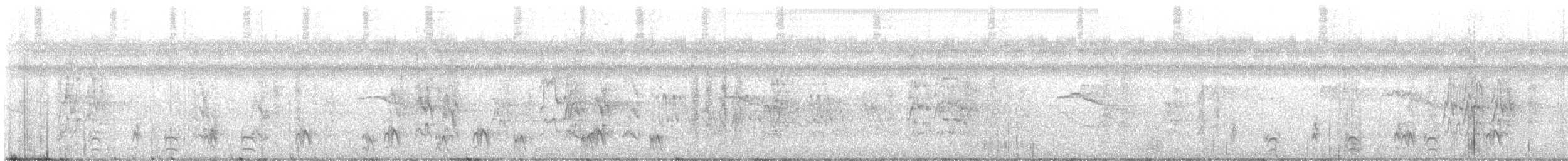 Ману панамський - ML645258015