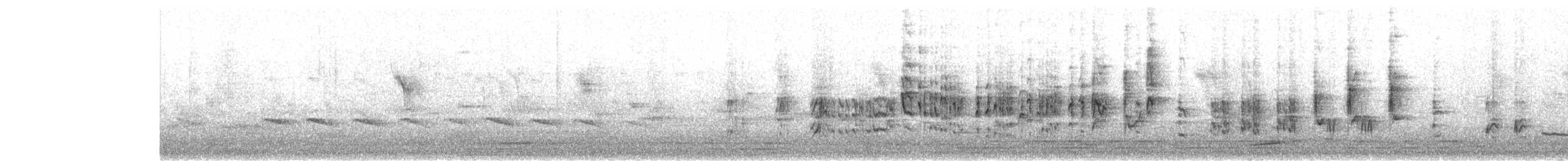 Очеретянка тонкодзьоба - ML645258052