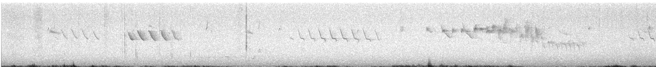 Southern Whiteface - ML645258418