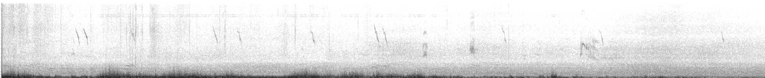 American Pipit - ML645258644