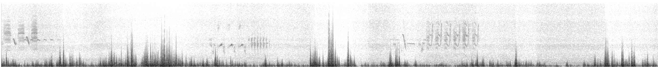 Grass Wren - ML645258771