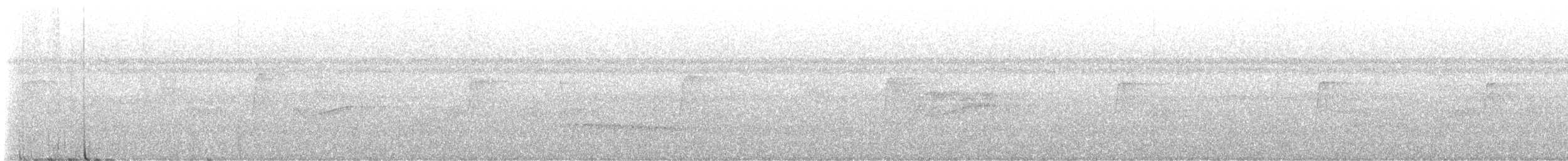 Sapayoa - ML645258824