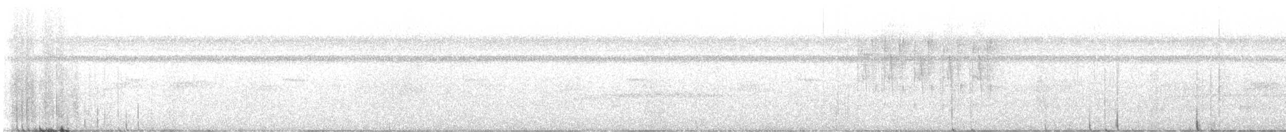 White-eared Conebill - ML645259157