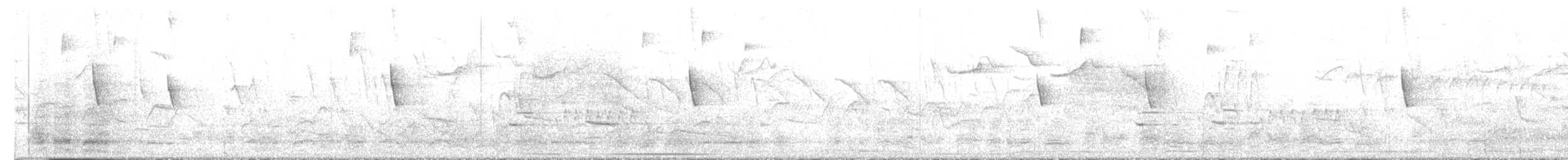 Çizgili Guguk - ML645259228