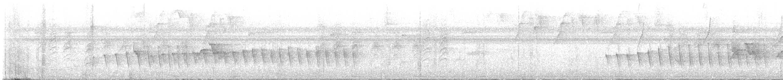 Pacific Antwren - ML645259413