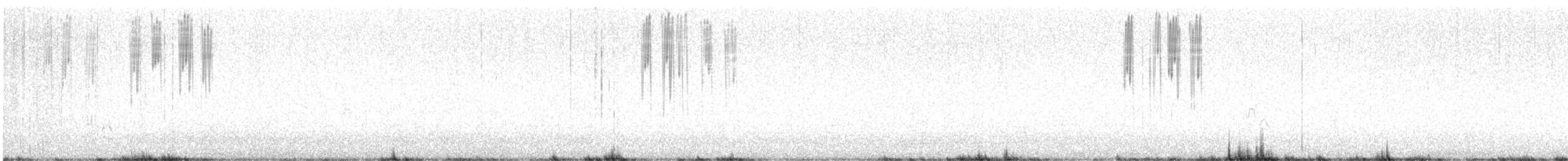 White-winged Fairywren (Black-and-white) - ML645259484