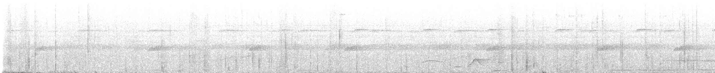 Black-bellied Wren - ML645259696