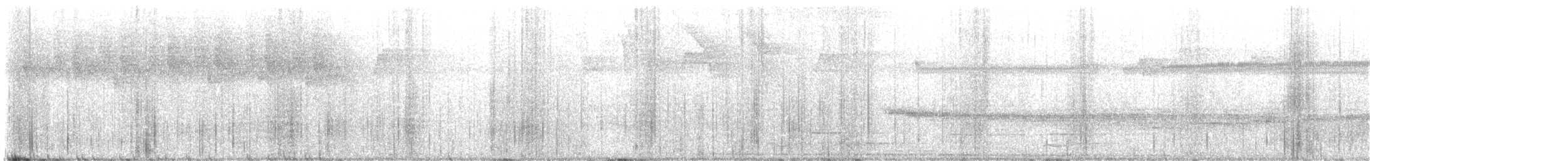 Double-banded Graytail - ML645259750