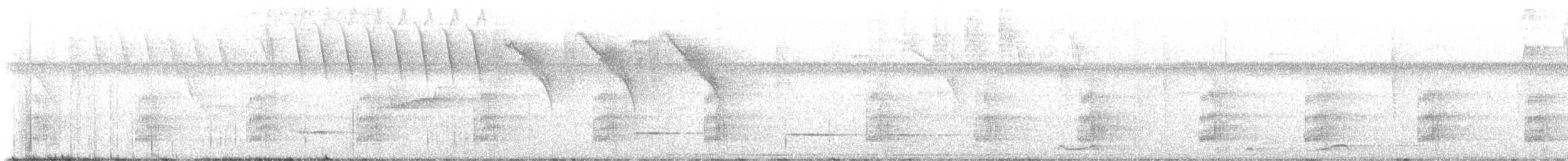 regnbuetukan - ML645259828