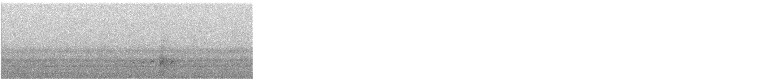 Hudsonian Whimbrel - ML645260147