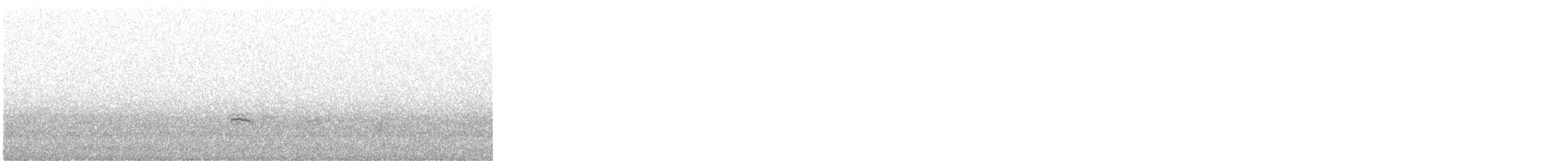 Rose-breasted Grosbeak - ML645260181