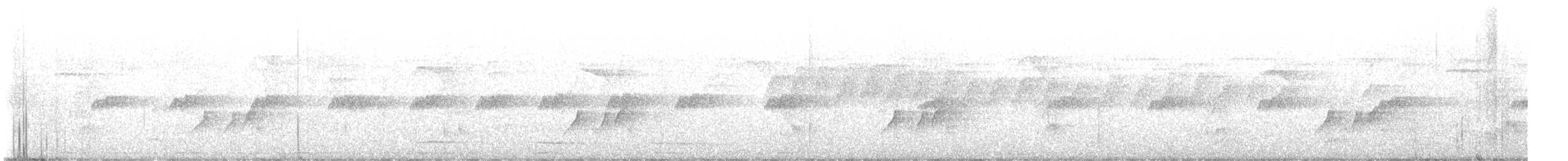 Sooty-headed Tyrannulet - ML645260272