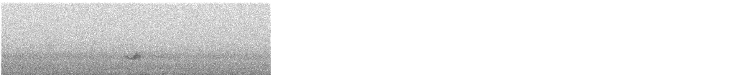 Piranga gorri-beltza - ML645260275