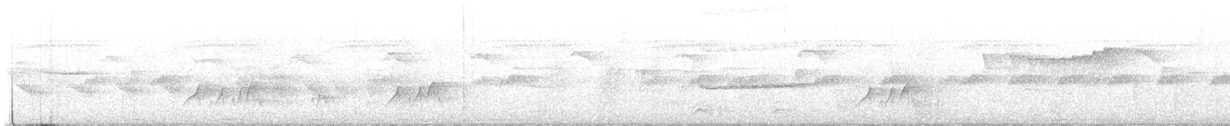 Southern Bentbill - ML645260301