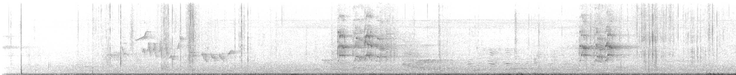 Çiriri Papağanı - ML645261729