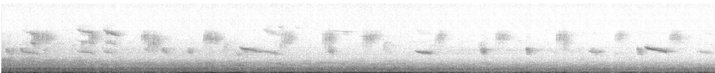 Gri Karınlı Tesya - ML645261846