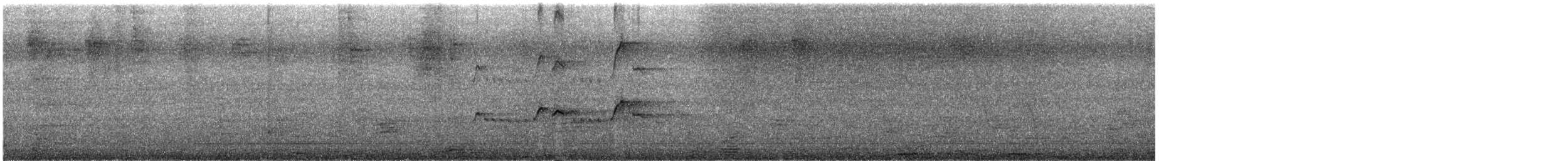 Sarı Gagalı Yedikardeş - ML645261927