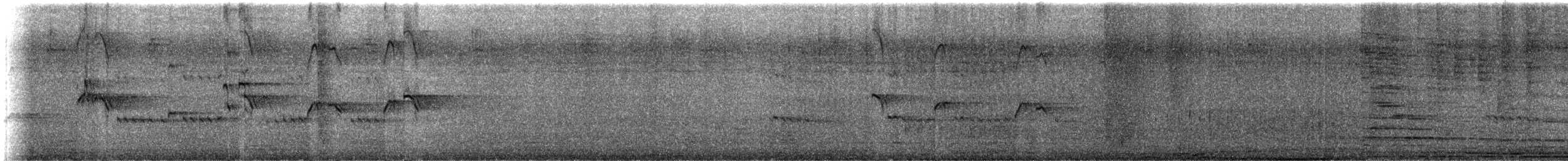 Sarı Gagalı Yedikardeş - ML645261928